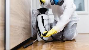 Emergency Pest Control in Maryland Heights, MO